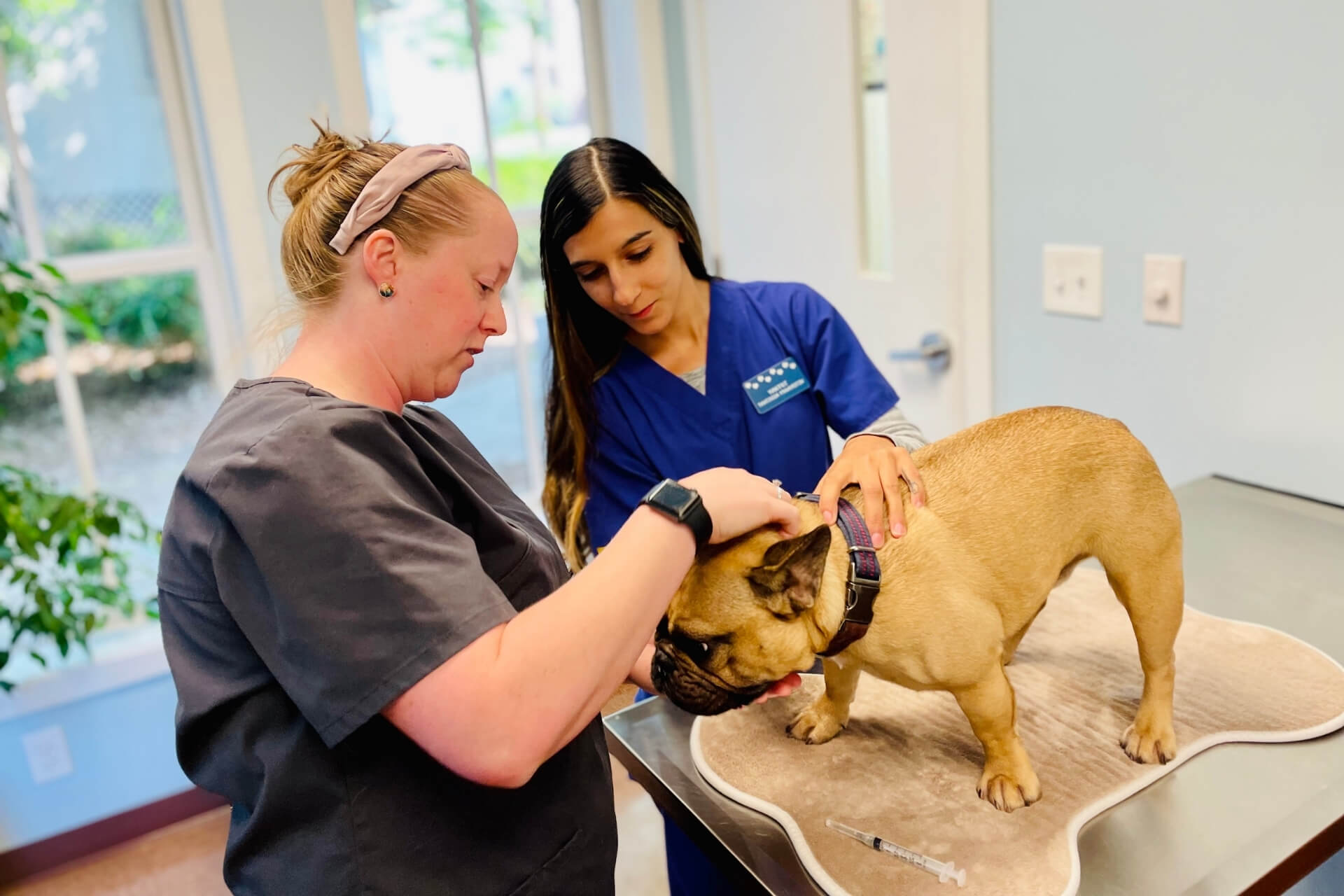 Advanced Medicine Mountain Island Whole Pet Veterinary Hospital